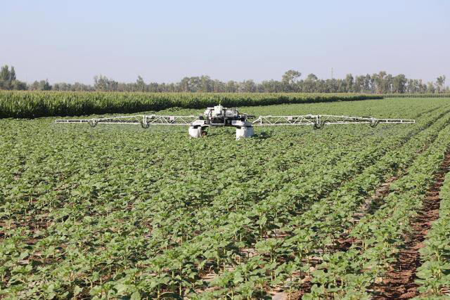 科技助农新景象：农业机器人高效防虫，为乡村振兴添动力(图1)